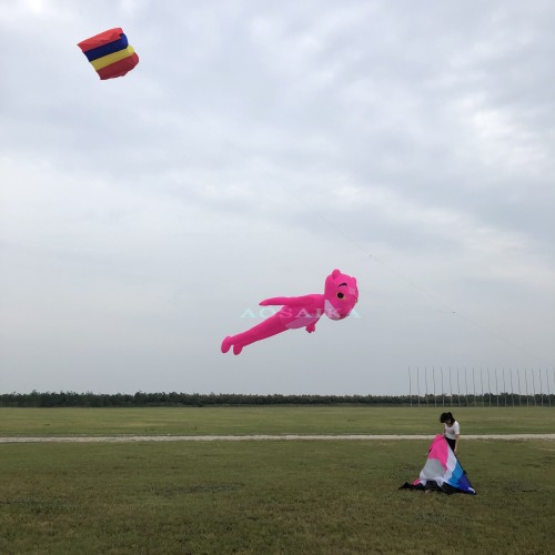 8m Pink Panther Kite Pendant 40d Ripstop Nylon For Adults High Quality Colorful Animal Show Kites