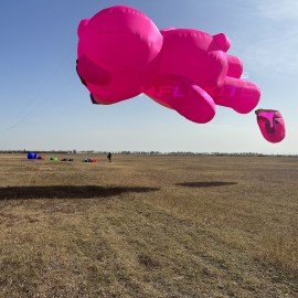 3.5m/5m/12m strawberry bear kite pendant 40d ripstop nylon 