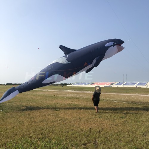 10M killer whale kite pendant 40d ripstop nylon 10M killer whale kite pendant 40d ripstop nylon