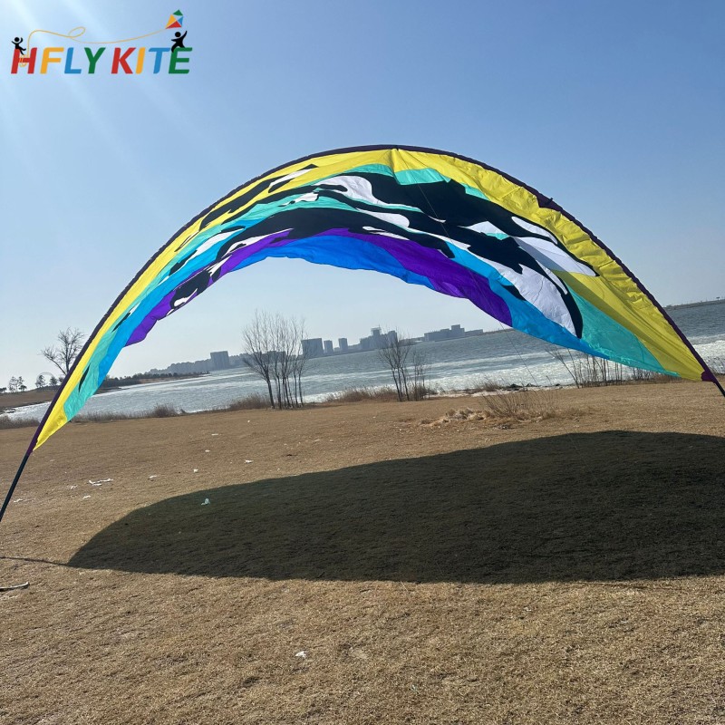 10*8M killer whale canopy kite 40d ripstop rylon