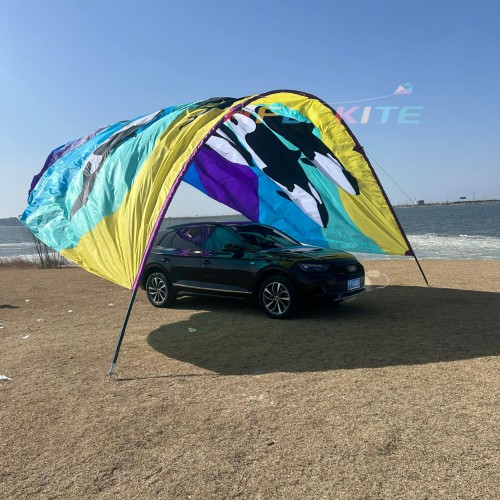 10*8M killer whale canopy kite 40d ripstop rylon