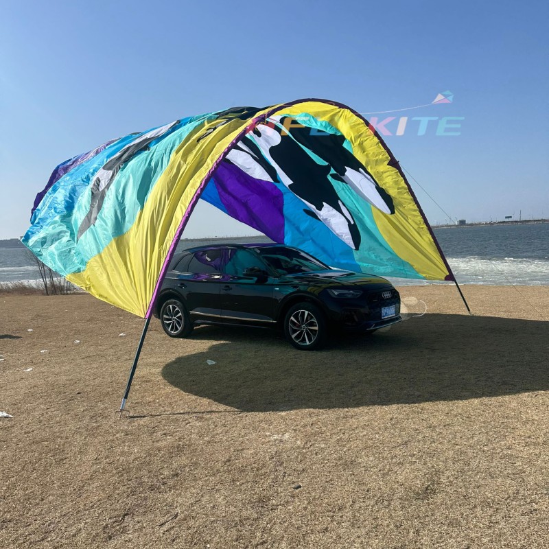 10*8M killer whale canopy kite 40d ripstop rylon 
