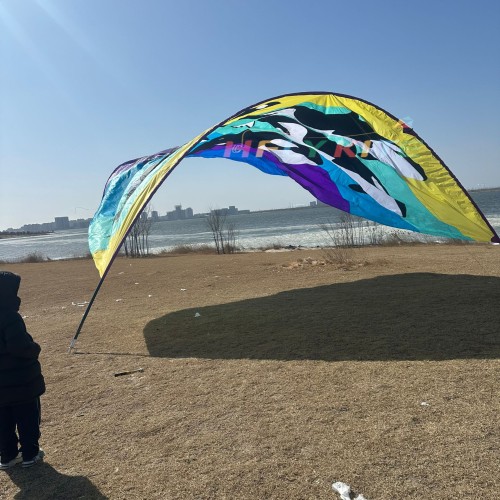 10*8M killer whale canopy kite 40d ripstop rylon