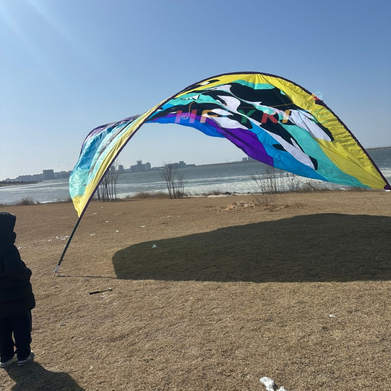 10*8M killer whale canopy kite 40d ripstop rylon 