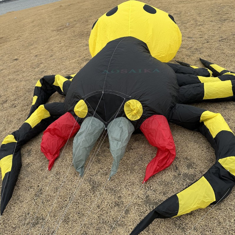 New Arrival 4*3.5m Spider Landscape Kite 40d Ripstop Nylon For Adults High Quality Colorful Show Kite 