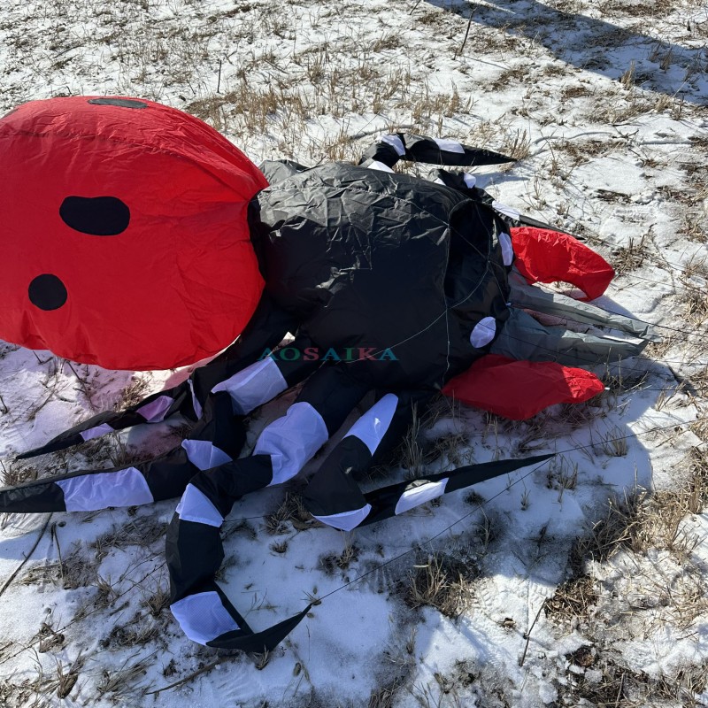 New Arrival 3.5m Spider Landscape Kite 40d Ripstop Nylon For Adults High Quality Colorful Show Kite 