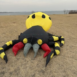 New Arrival 4*3.5m Spider Landscape Kite 40d Ripstop Nylon For Adults High Quality Colorful Show Kite 