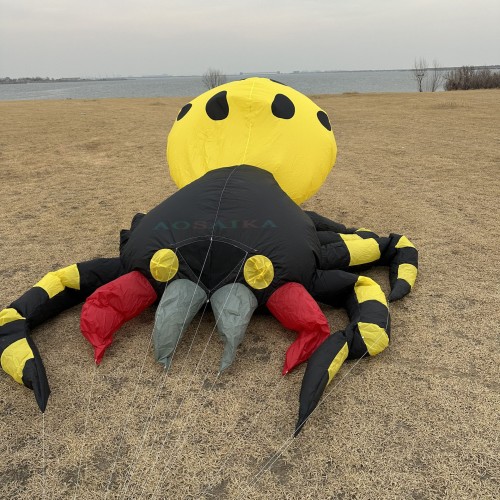 New Arrival 4*3.5m Spider Landscape Kite 40d Ripstop Nylon For Adults High Quality Colorful Show Kite