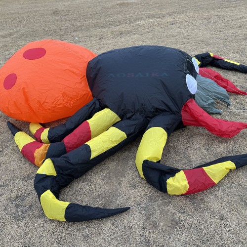 New Arrival 4*3.5m Spider Landscape Kite 40d Ripstop Nylon For Adults High Quality Colorful Show Kite
