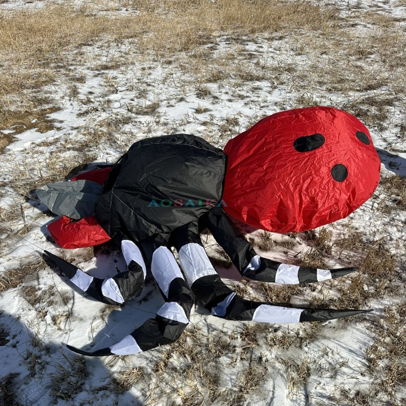 New Arrival 3.5m Spider Landscape Kite 40d Ripstop Nylon For Adults High Quality Colorful Show Kite 