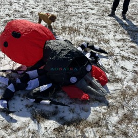 New Arrival 3.5m Spider Landscape Kite 40d Ripstop Nylon For Adults High Quality Colorful Show Kite 