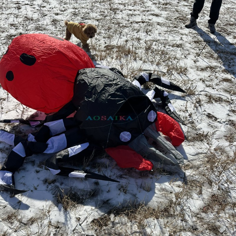 New Arrival 3.5m Spider Landscape Kite 40d Ripstop Nylon For Adults High Quality Colorful Show Kite 