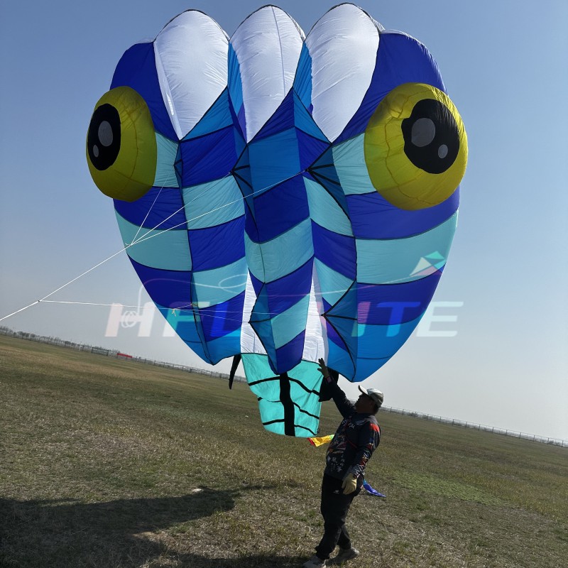 13sqm tadpole kite 40d ripstop nylon 