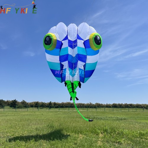 13Sqm Tadpole kite 20d Ultra-light fabric ripstop nylon For Adults High Quality Colorful Show Kites