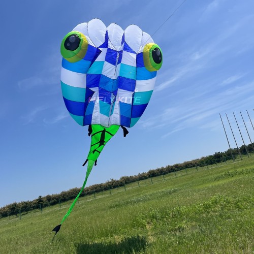 13Sqm Tadpole kite 20d Ultra-light fabric ripstop nylon For Adults High Quality Colorful Show Kites