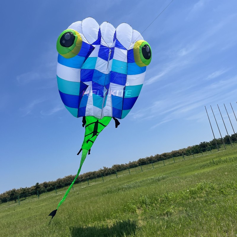 13Sqm Tadpole kite 20d Ultra-light fabric ripstop nylon For Adults High Quality Colorful Show Kites 