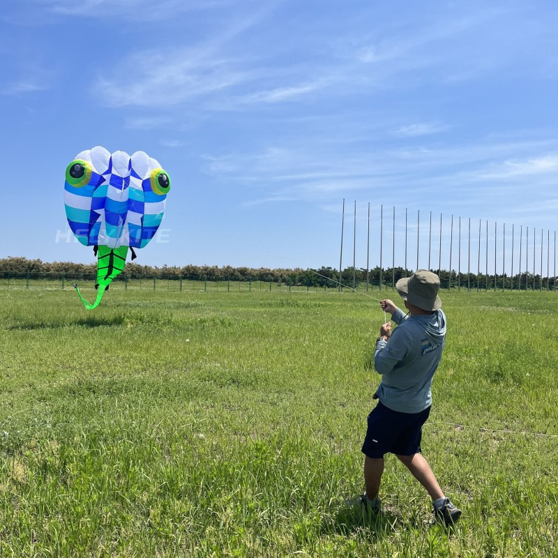 13Sqm Tadpole kite 20d Ultra-light fabric ripstop nylon For Adults High Quality Colorful Show Kites 