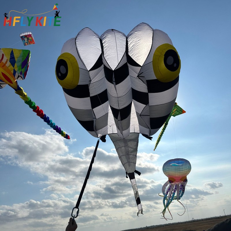 13sqm tadpole kite 40d ripstop nylon