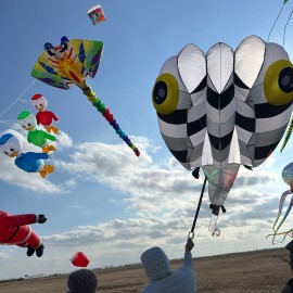 13sqm tadpole kite 40d ripstop nylon 