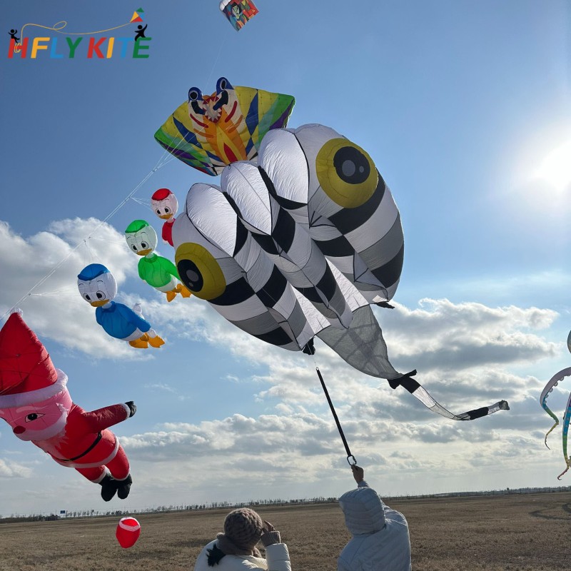13sqm tadpole kite 40d ripstop nylon 