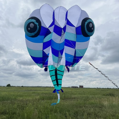13sqm tadpole kite 40d ripstop nylon