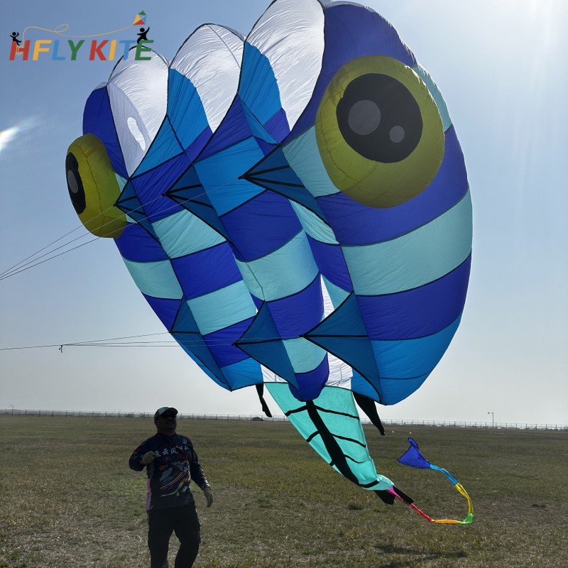 13sqm tadpole kite 40d ripstop nylon 