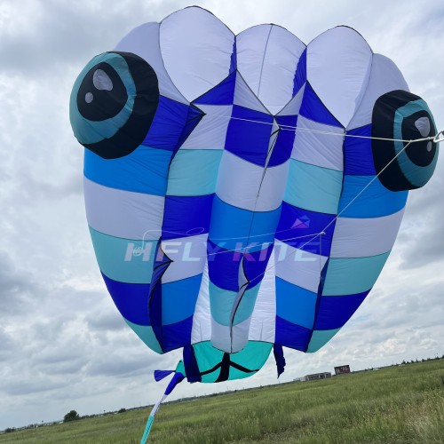 13sqm tadpole kite 40d ripstop nylon