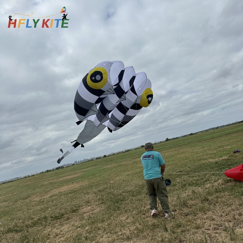 13sqm tadpole kite 40d ripstop nylon 