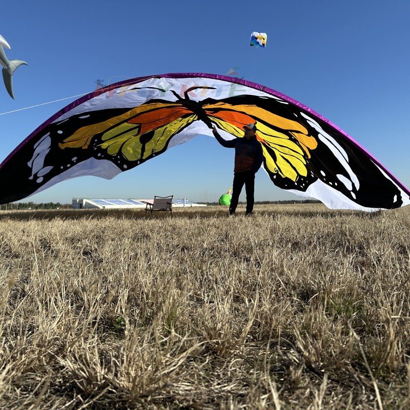 10*8M butterfly canopy kite 40d ripstop rylon