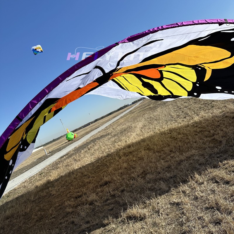 10*8M butterfly canopy kite 40d ripstop rylon 