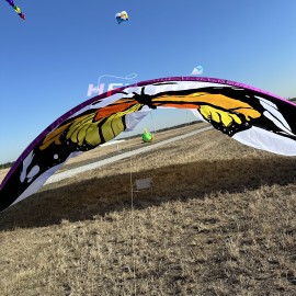 10*8M butterfly canopy kite 40d ripstop rylon 