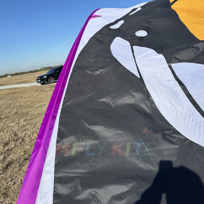 10*8M butterfly canopy kite 40d ripstop rylon 