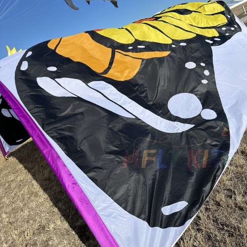 10*8M butterfly canopy kite 40d ripstop rylon