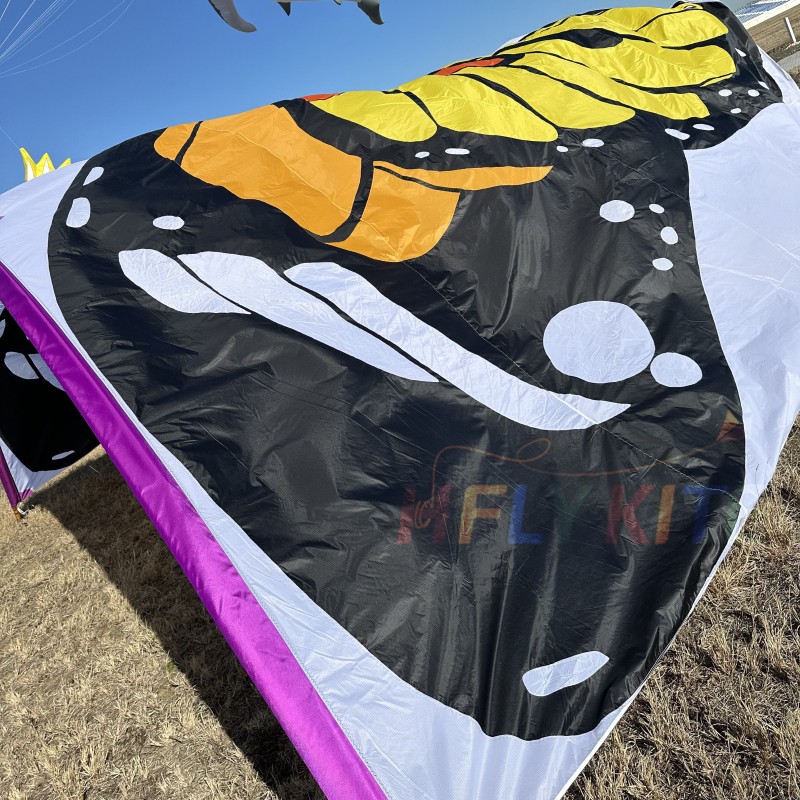 10*8M butterfly canopy kite 40d ripstop rylon 