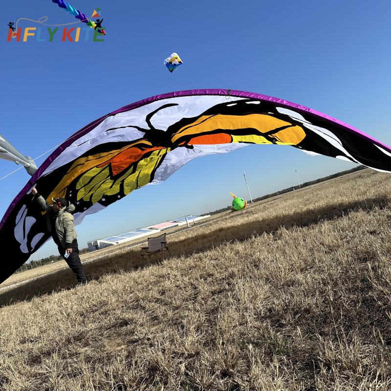 10*8M butterfly canopy kite 40d ripstop rylon 