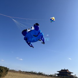 New Arrival Soft Inflatable 3.2M Crab Kite Pendant 40d Nylon Ripstop Adults High Quality Colorful Animal Show Kites 