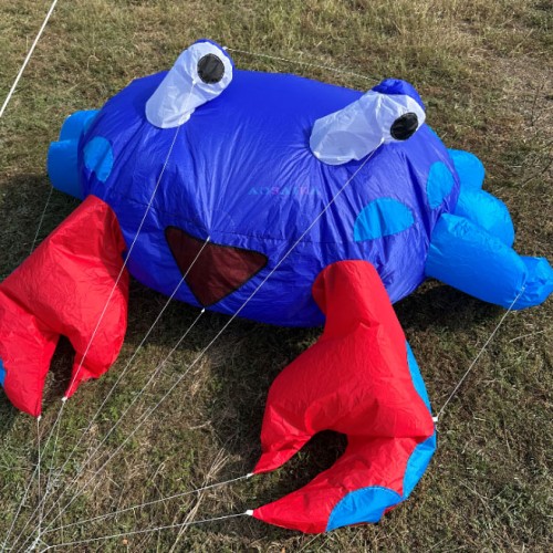 New Arrival Soft Inflatable 2M  Ground Crab Kite 40d ripstop nylon For Adults High Quality Colorful Animal Show Kites