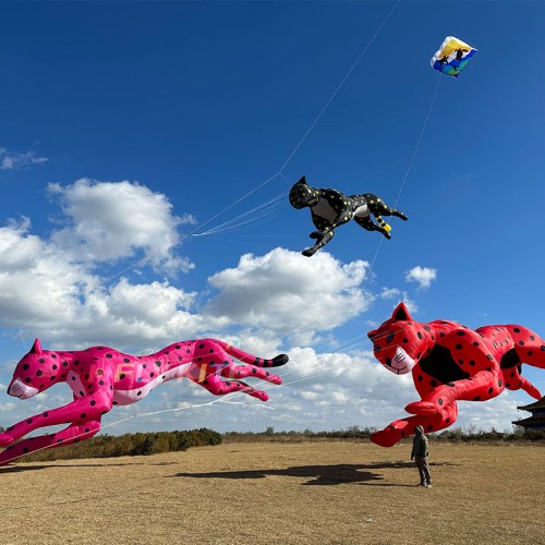 15m Soft Inflatable  Leopard Kite Line Laundry High Quality Ripstop Nylon Kite Pendant