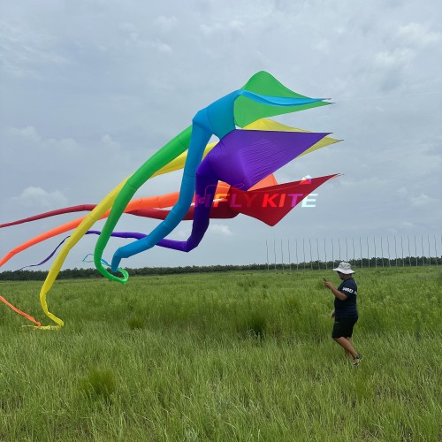 13.5M sleater kite pendant 40d ripstop nylon