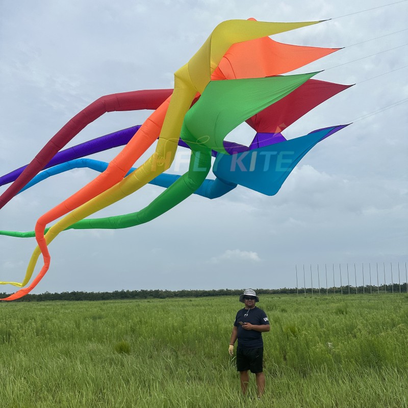13.5M sleater kite pendant 40d ripstop nylon 