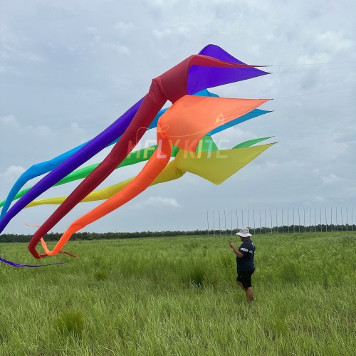 13.5M sleater kite pendant 40d ripstop nylon