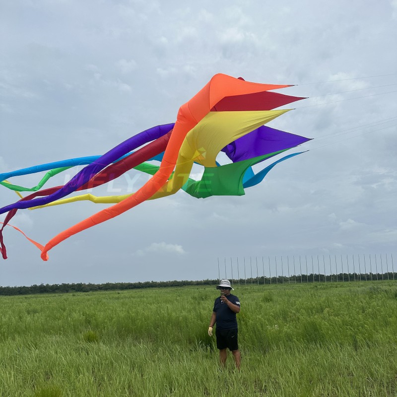 13.5M sleater kite pendant 40d ripstop nylon 