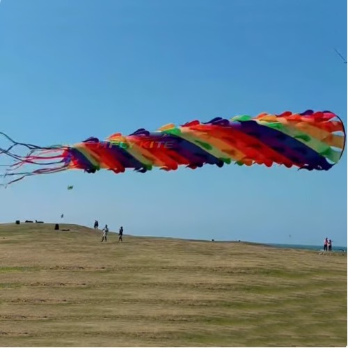 8/11/26 Spin-spun kite turntle kite 40d ripstop nylon