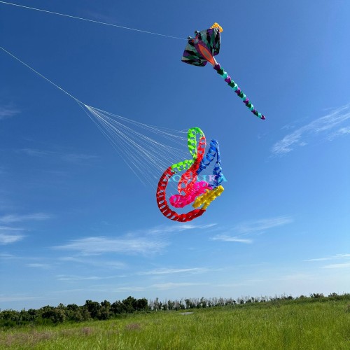 Cell catherine wheel kite  The Turn the snake kite 40d Ripstop Nylon For Adults High Quality Colorful Show Kite