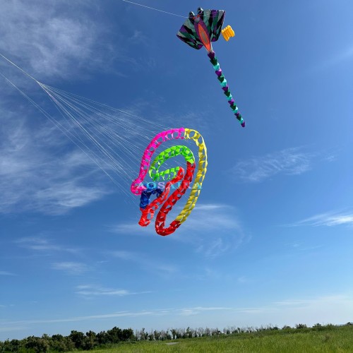Cell catherine wheel kite  The Turn the snake kite 40d Ripstop Nylon For Adults High Quality Colorful Show Kite