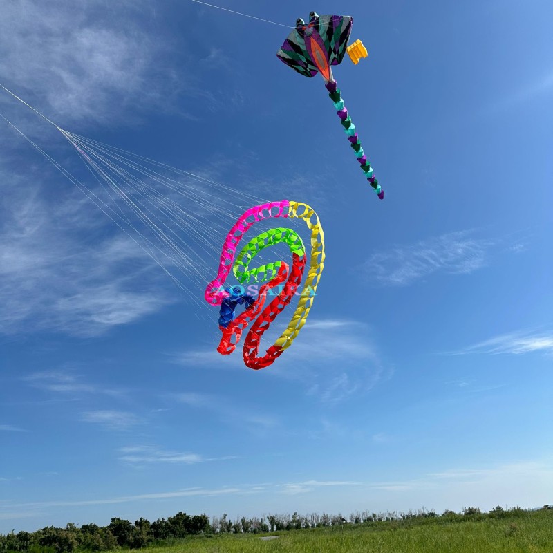 Cell catherine wheel kite  The Turn the snake kite 40d Ripstop Nylon For Adults High Quality Colorful Show Kite 