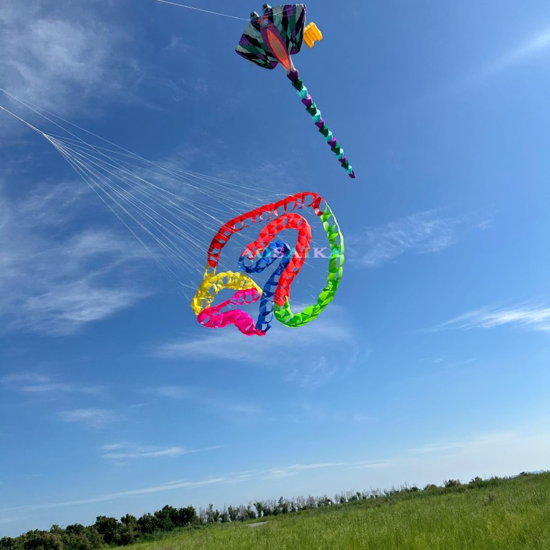 Cell catherine wheel kite  The Turn the snake kite 40d Ripstop Nylon For Adults High Quality Colorful Show Kite 