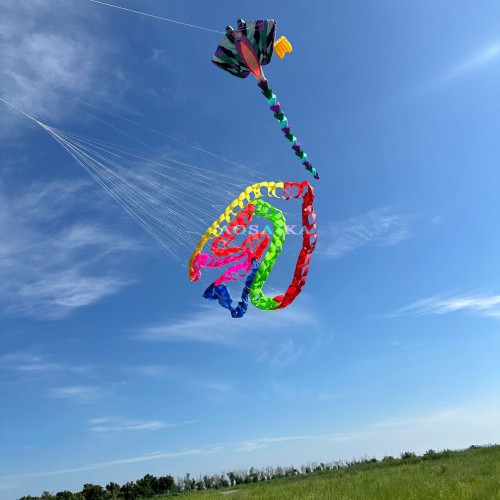 Cell catherine wheel kite  The Turn the snake kite 40d Ripstop Nylon For Adults High Quality Colorful Show Kite