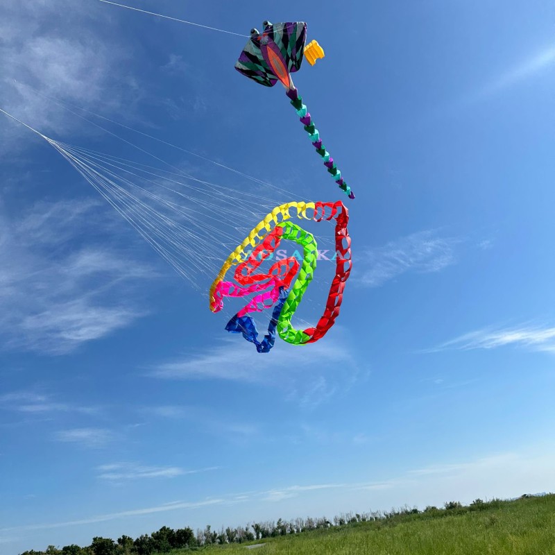Cell catherine wheel kite  The Turn the snake kite 40d Ripstop Nylon For Adults High Quality Colorful Show Kite 