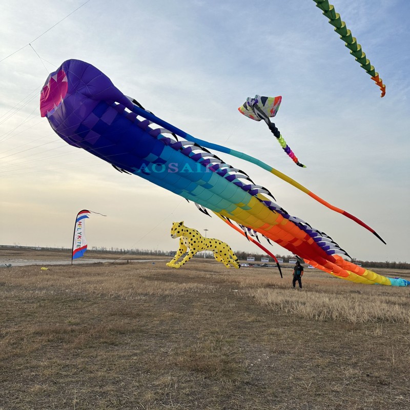 35M ancient trilobite kite pendant 40d ripstop nylon 